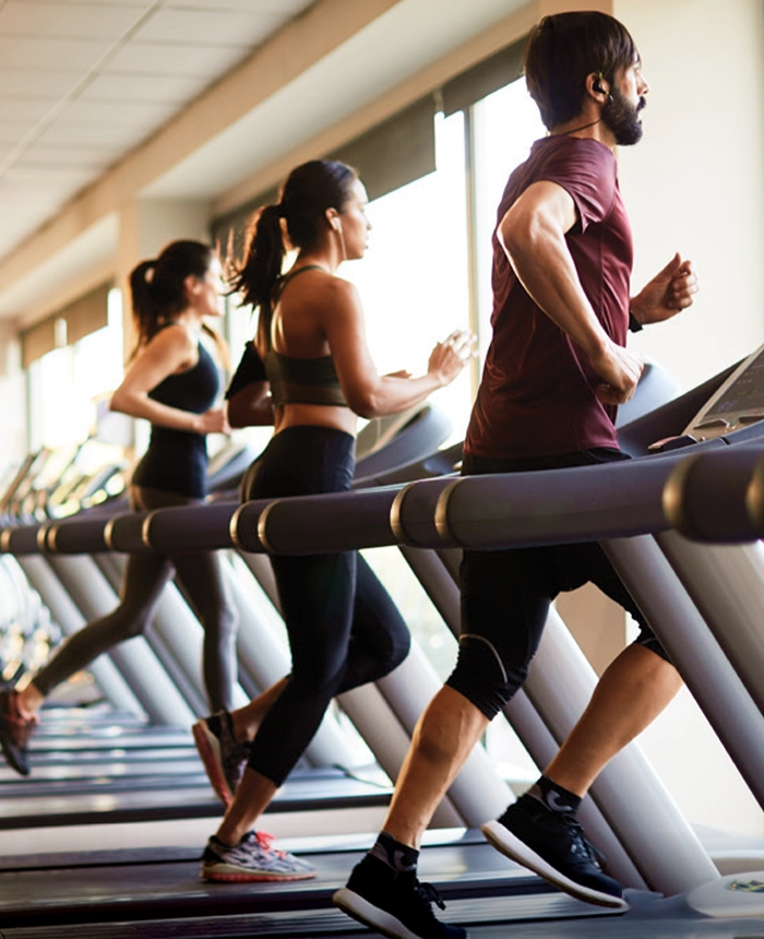 Gymnassium.webp