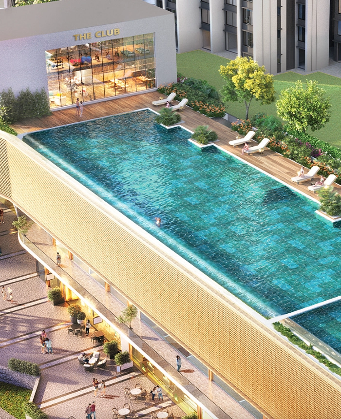 Infinity-Pool-Aera.webp